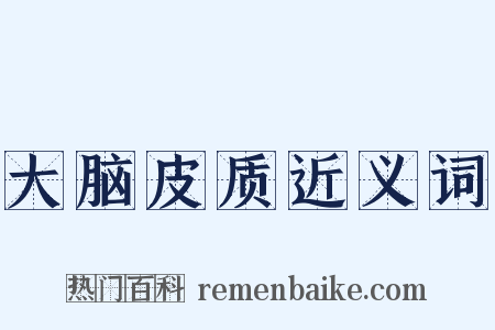 大脑皮质近义词是什么意思的图片